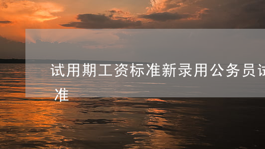 试用期工资标准(新录用公务员试用期工资标准)