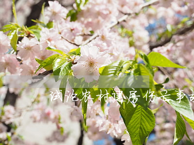 试论农村建房伤亡事故民事责任的承担