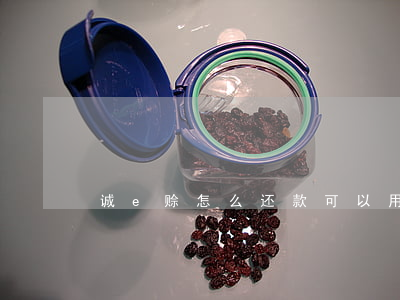 诚e赊怎么还款可以用花呗还吗-