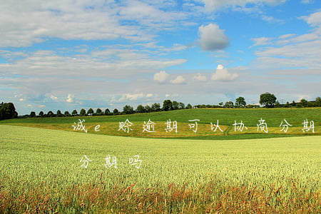 诚e赊逾期可以协商分期还款吗 诚e赊不能分期吗