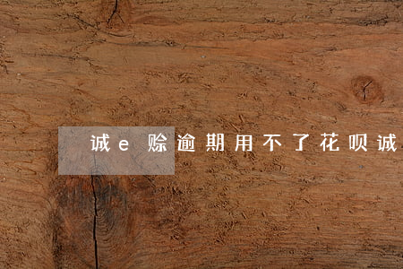 诚e赊逾期用不了花呗(诚e赊逾期两个月了)