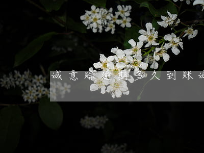 诚意赊逾期多久到账 诚意赊几天到账