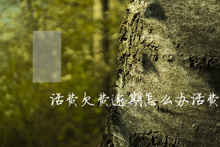 话费欠费逾期怎么办(话费欠多久算逾期)