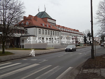 详版征信当前逾期哪里看(征信当前逾期怎么看)