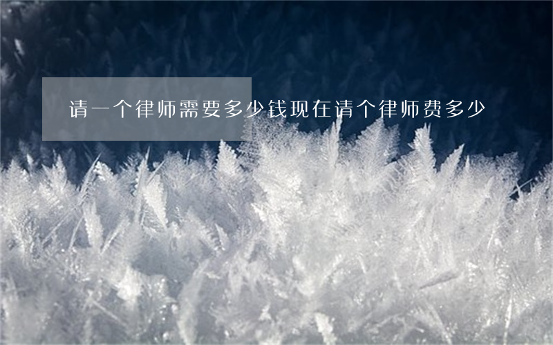 请一个律师需要多少钱(现在请个律师费多少)