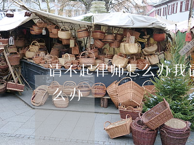 请不起律师怎么办(我请了律师不帮我办事怎么办)