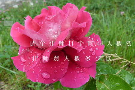 请个律师打个官司大概要多少钱(打个小官司律师费大概多少钱)