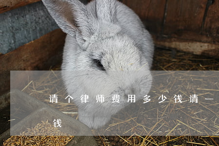 请个律师费用多少钱(请一个律师大约要多少钱)