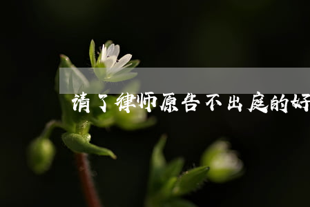 请了律师原告不出庭的好处
