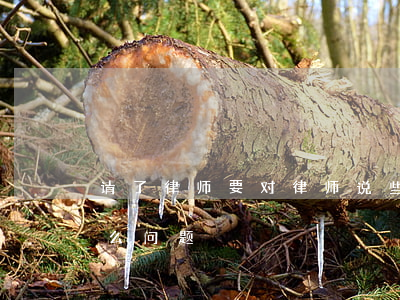 请了律师要对律师说些什么(请律师要问些什么问题)