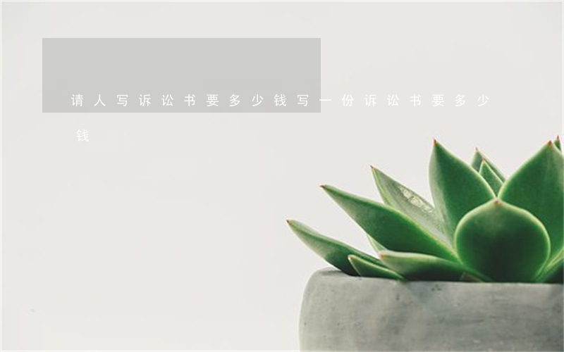 请人写诉讼书要多少钱(写一份诉讼书要多少钱)