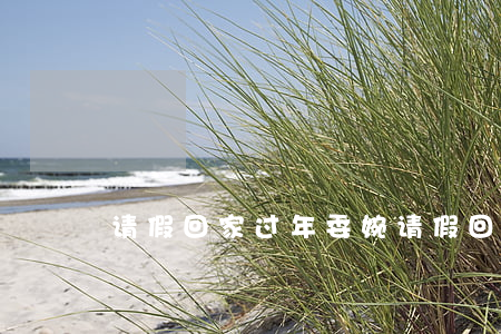 请假回家过年委婉（请假回家逾期未回）