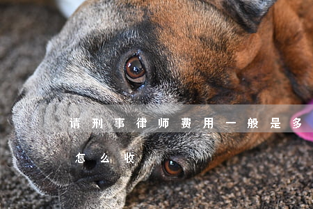 请刑事律师费用一般是多少钱(刑事律师费用怎么收)