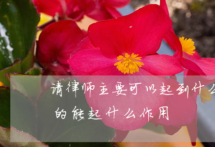 请律师主要可以起到什么作用(律师是干什么的 能起什么作用)
