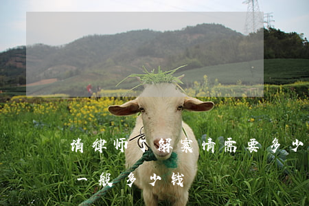 请律师了解案情需要多少钱(刑事案件请律师一般多少钱)