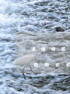 请律师写一个合同需要多少钱(请个律师写个合同大约多少钱)