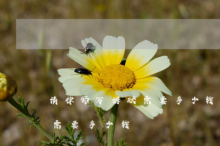 请律师写诉状需要多少钱(请律师写个起诉状需要多少钱)
