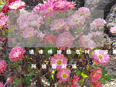 请律师协商支付宝逾期(支付宝逾期律师事务所说要起诉)