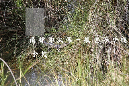 请律师取保一般要多少钱(请律师取保出来多少钱)