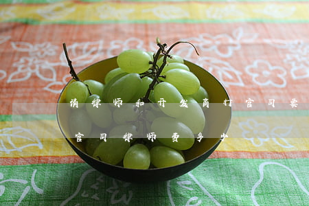 请律师和开发商打官司要多少钱(跟开发商打官司律师费多少)