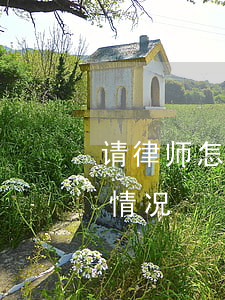 请律师怎么问律师情况(我想找个律师问一下情况)