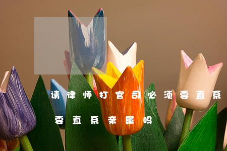 请律师打官司必须要直系亲属吗(请律师一定要直系亲属吗)