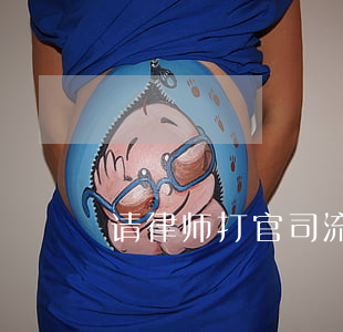 请律师打官司流程(律师打官司的流程)