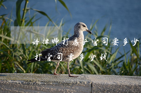 请律师打房产官司要多少钱(房产纠纷请律师打官司要多少钱)