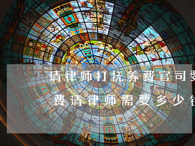请律师打抚养费官司要多少钱(打官司要抚养费请律师需要多少钱)
