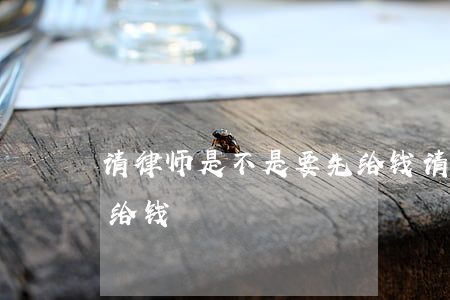 请律师是不是要先给钱(请律师能不能成功后给钱)