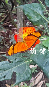请律师的最佳时间(什么时候请律师最好)