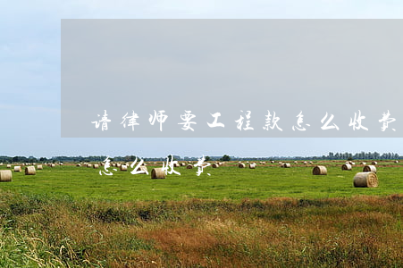 请律师要工程款怎么收费(工程款律师费一般怎么收费)