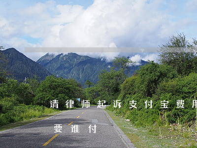 请律师起诉支付宝费用(支付宝起诉我律师费要谁付)