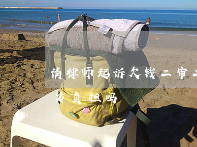 请律师起诉欠钱二审(二审律师费可以要求对方负担吗)