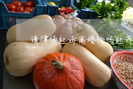请律师起诉离婚快吗(起诉离婚要请律师吗?)