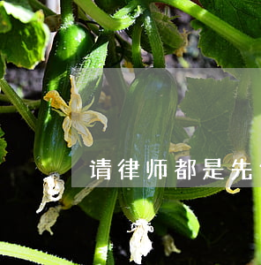 请律师都是先付费吗(律师收费是先收费吗)