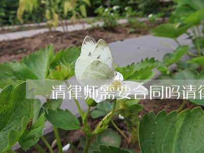 请律师需要合同吗(请律师合同怎么签)