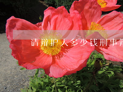 请辩护人多少钱(刑事辩护律师多少钱请一个)
