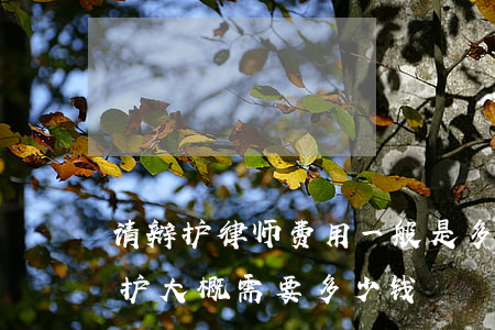 请辩护律师费用一般是多少钱(请一个律师辩护大概需要多少钱)