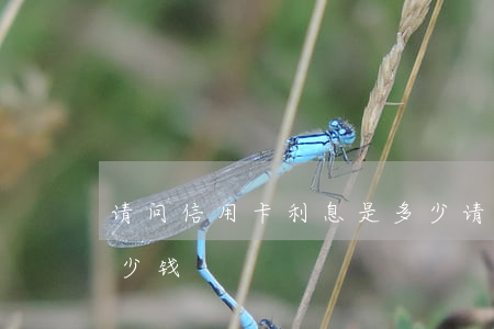 请问信用卡利息是多少 请问信用卡利息是多少钱