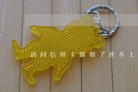 请问信用卡逾期了还不上怎么办