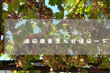 请问借条怎么打(请问一下借条怎么打)