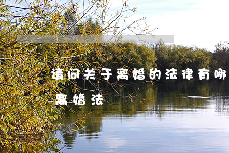 请问关于离婚的法律有哪些(关于现在的婚姻离婚法)