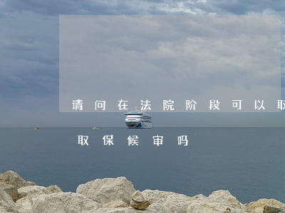 请问在法院阶段可以取保候审吗(法院还可以取保候审吗)
