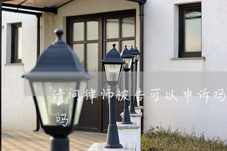 请问律师被告可以申诉吗(法院起诉要请律师吗)
