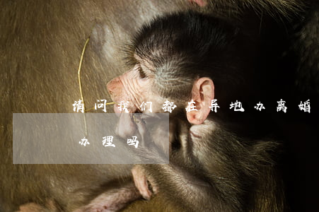 请问我们都在异地办离婚怎么办(离婚异地能办理吗)