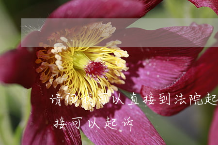 请问我可以直接到法院起诉吗(法院是不是直接可以起诉)