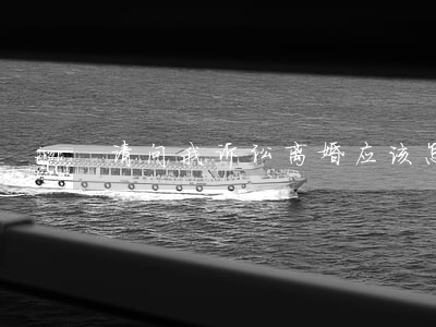 请问我诉讼离婚应该怎么做(怎样离婚诉讼)