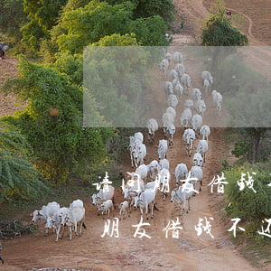 请问朋友借钱不还向法院起诉要得回吗（如果朋友借钱不还起诉）