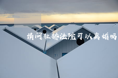 请问杜桥法院可以离婚吗